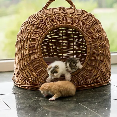 בית חווה Neundlinger