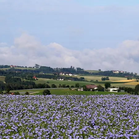 Neundlinger בית חווה Niederwaldkirchen