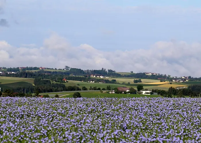 Neundlinger 팜스테이 Niederwaldkirchen