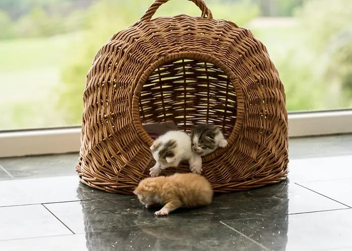 Κατάλυμα σε φάρμα Neundlinger